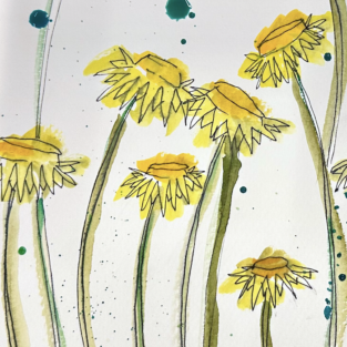 Drop In Botanical Workshops<br>for Test Garden Open Day